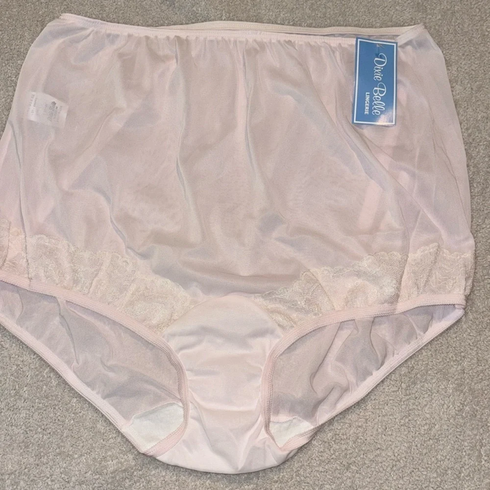 Dixie Belle Women’s Classic Nylon Briefs Panty Powder Light Pink Size 10 VINTAGE